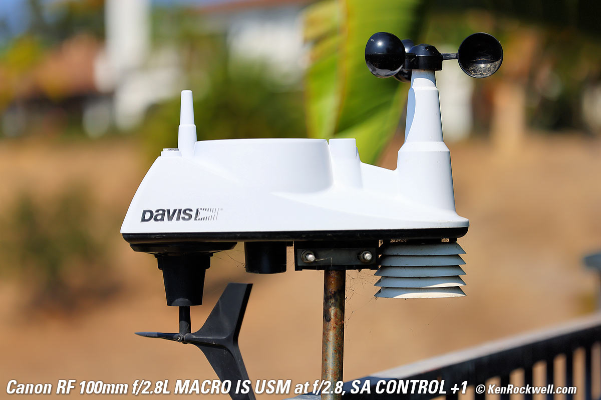 Canon RF 100mm f/2.8 Macro SA Control example Image