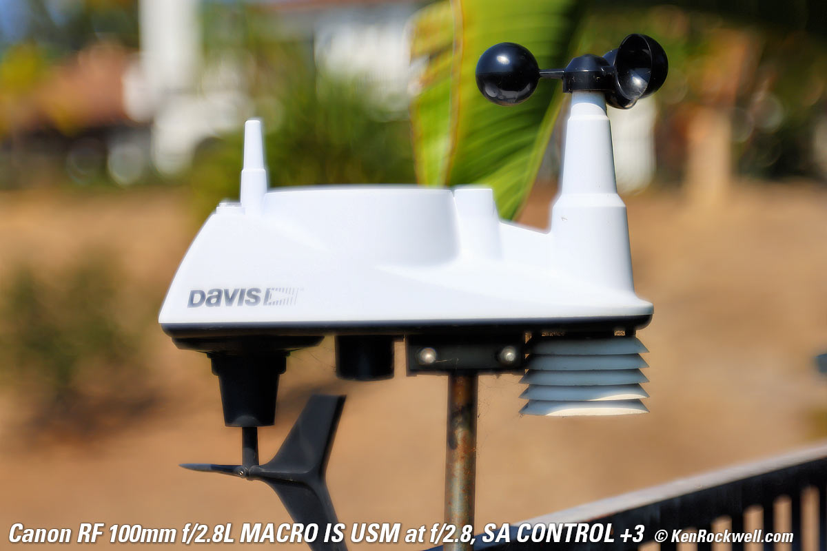 Canon RF 100mm f/2.8 Macro SA Control example Image