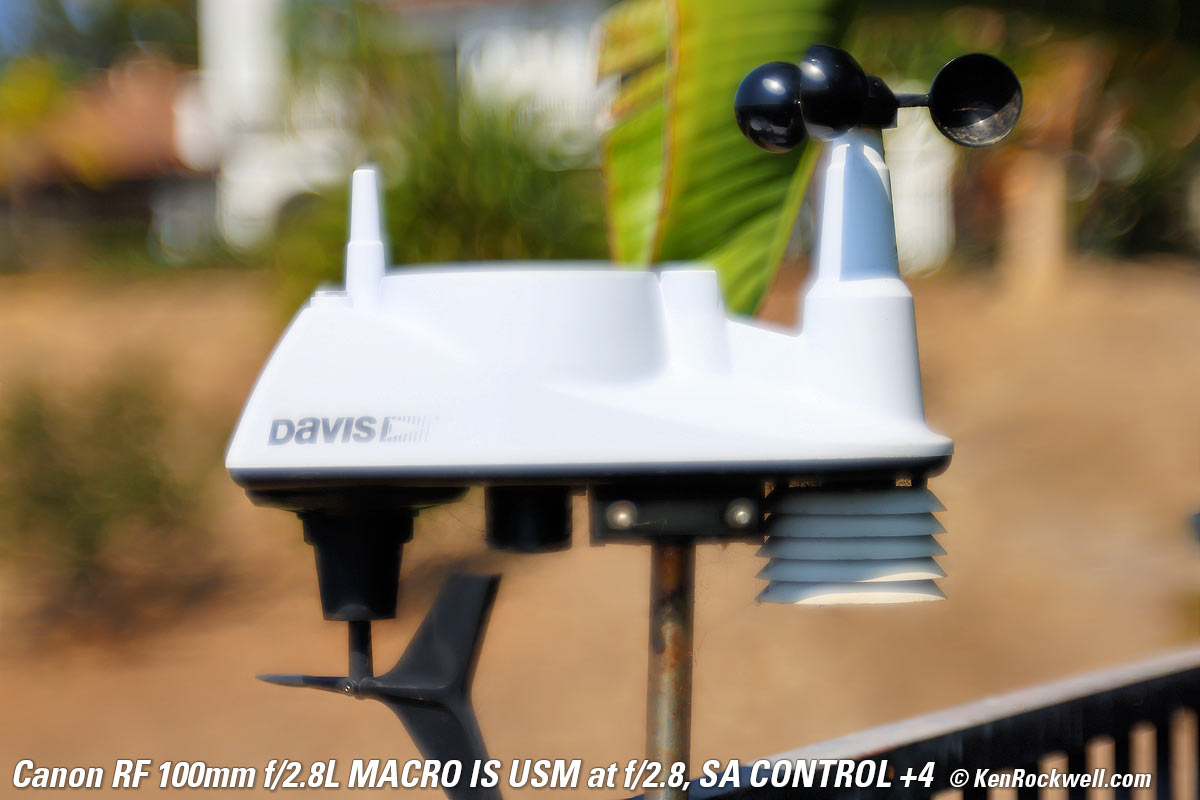 Canon RF 100mm f/2.8 Macro SA Control example Image