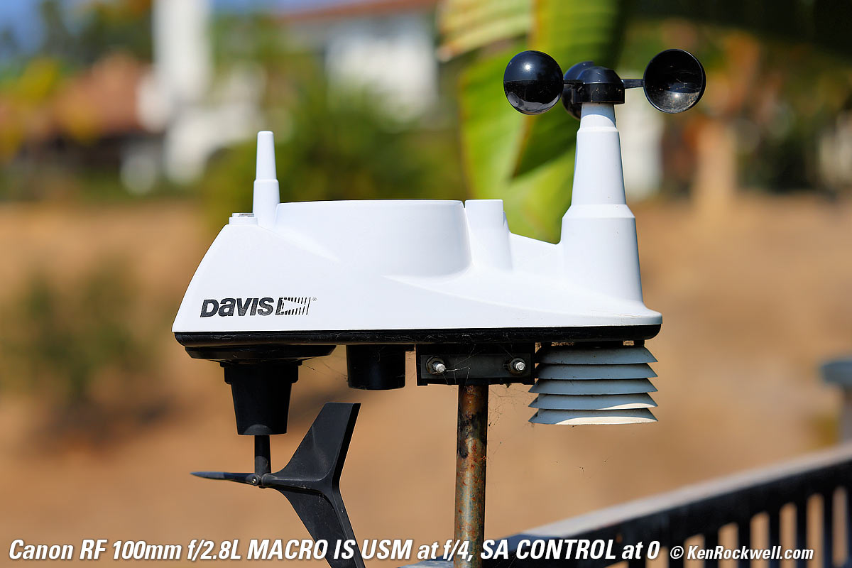 Canon RF 100mm f/2.8 Macro Bokeh example Image