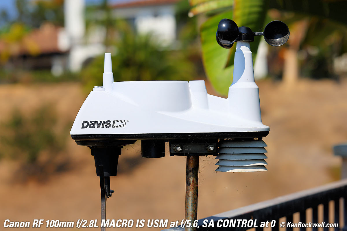 Canon RF 100mm f/2.8 Macro Bokeh example Image