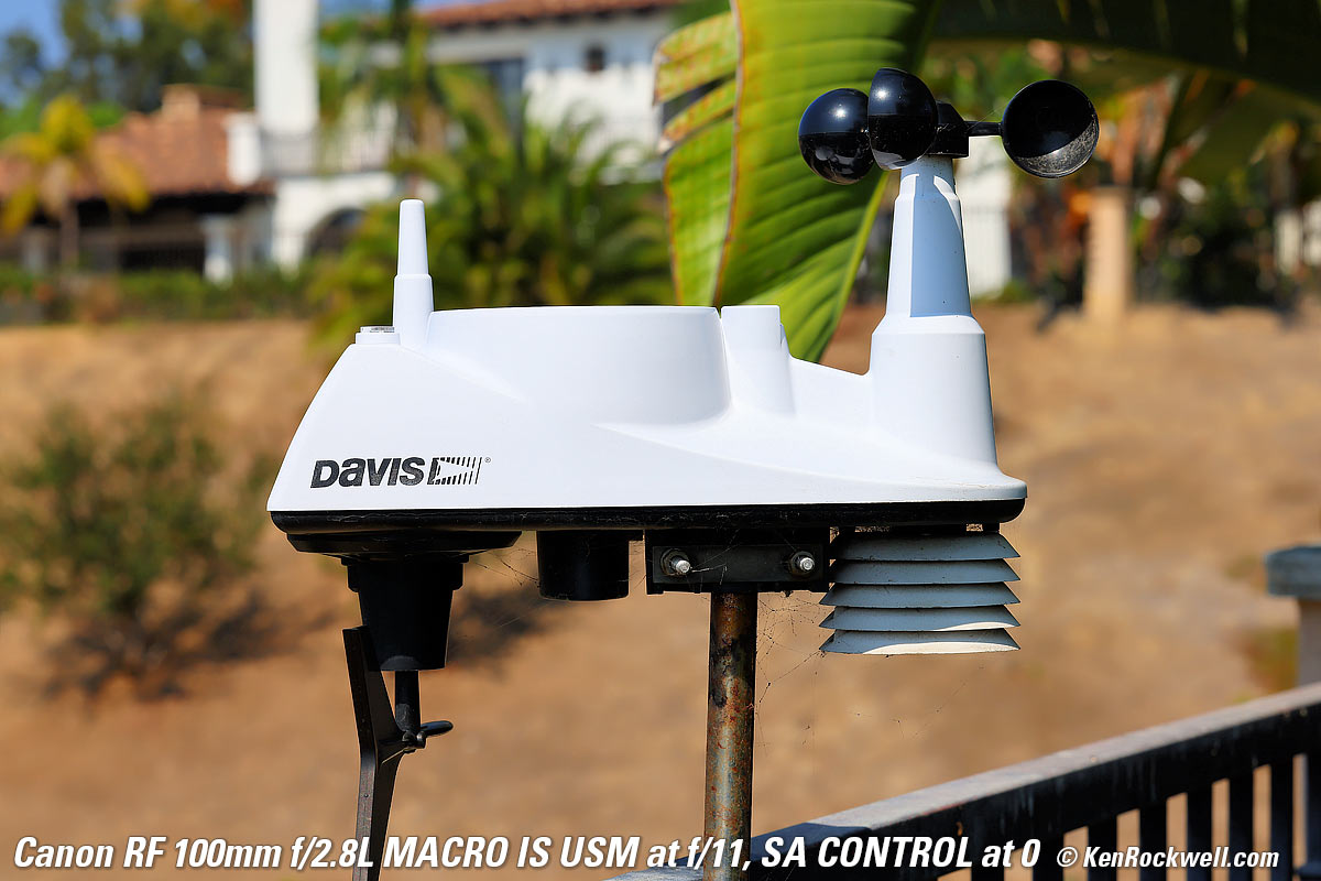 Canon RF 100mm f/2.8 Macro Bokeh example Image