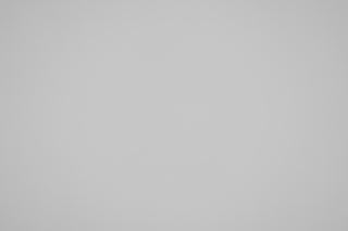 Canon RF 100mm f/2.8 Macro falloff