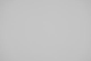 Canon RF 100mm f/2.8 Macro falloff