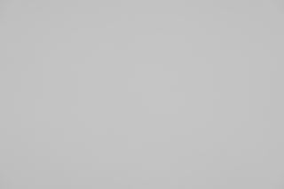 Canon RF 100mm f/2.8 Macro falloff