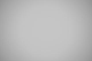 Canon RF 100mm f/2.8 Macro falloff