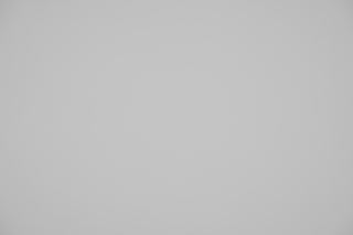 Canon RF 100mm f/2.8 Macro falloff