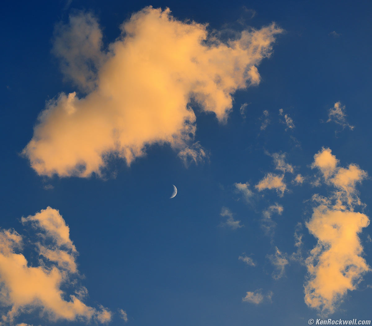 Canon RF 100mm f/2.8L Macro sample image