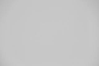 Canon 135mm f/1.8 L IS USM falloff