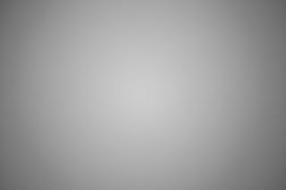 Canon 135mm f/1.8 L IS USM falloff