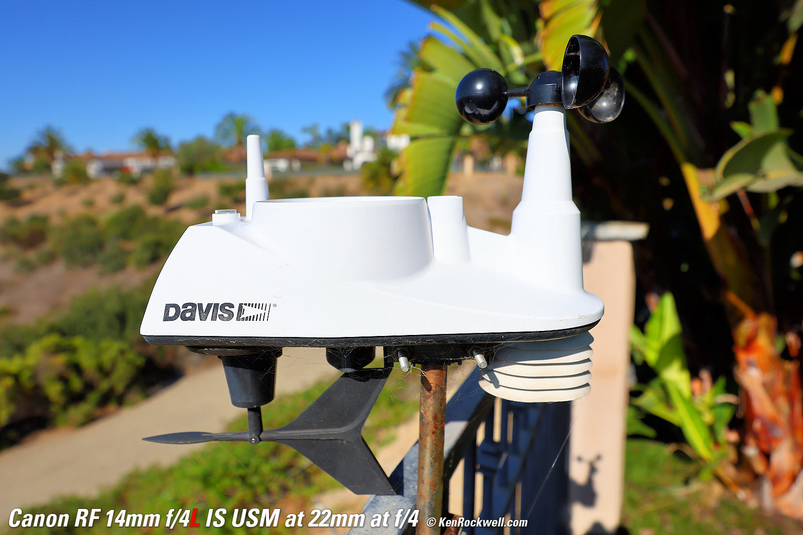 Canon RF 14-35mm f/4L Bokeh