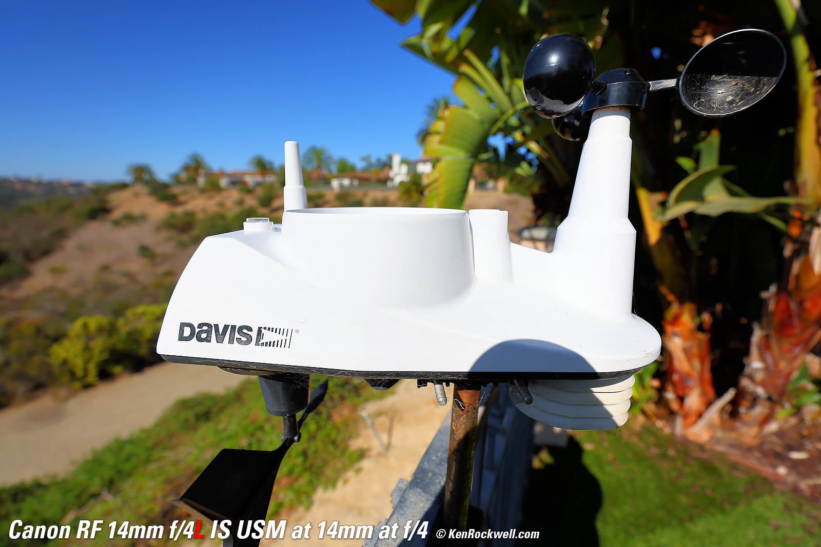 Canon RF 14-35mm f/4L Bokeh