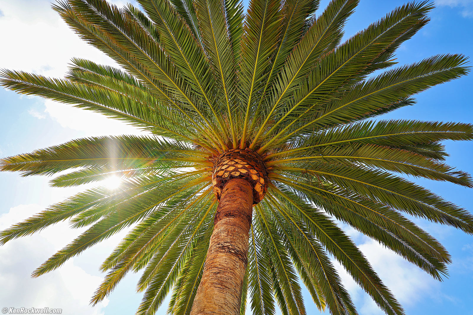 Canon RF 16-28mm f/2.8 IS STM Sample Image