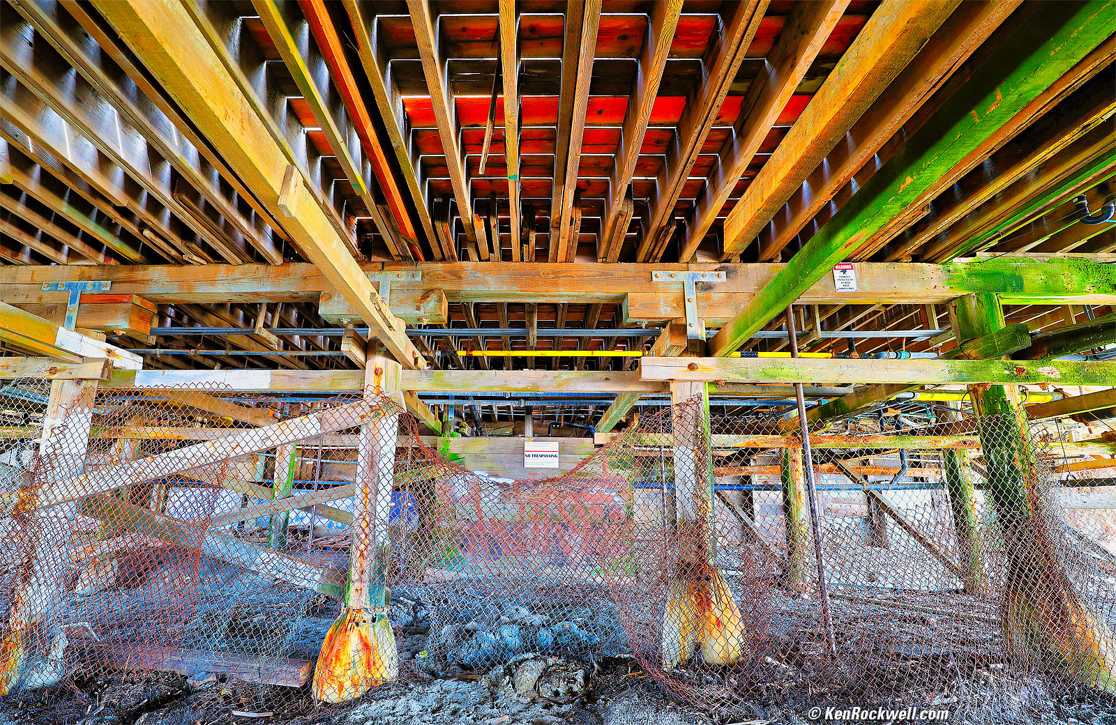 Canon RF 16-28mm f/2.8 IS STM Sample Image