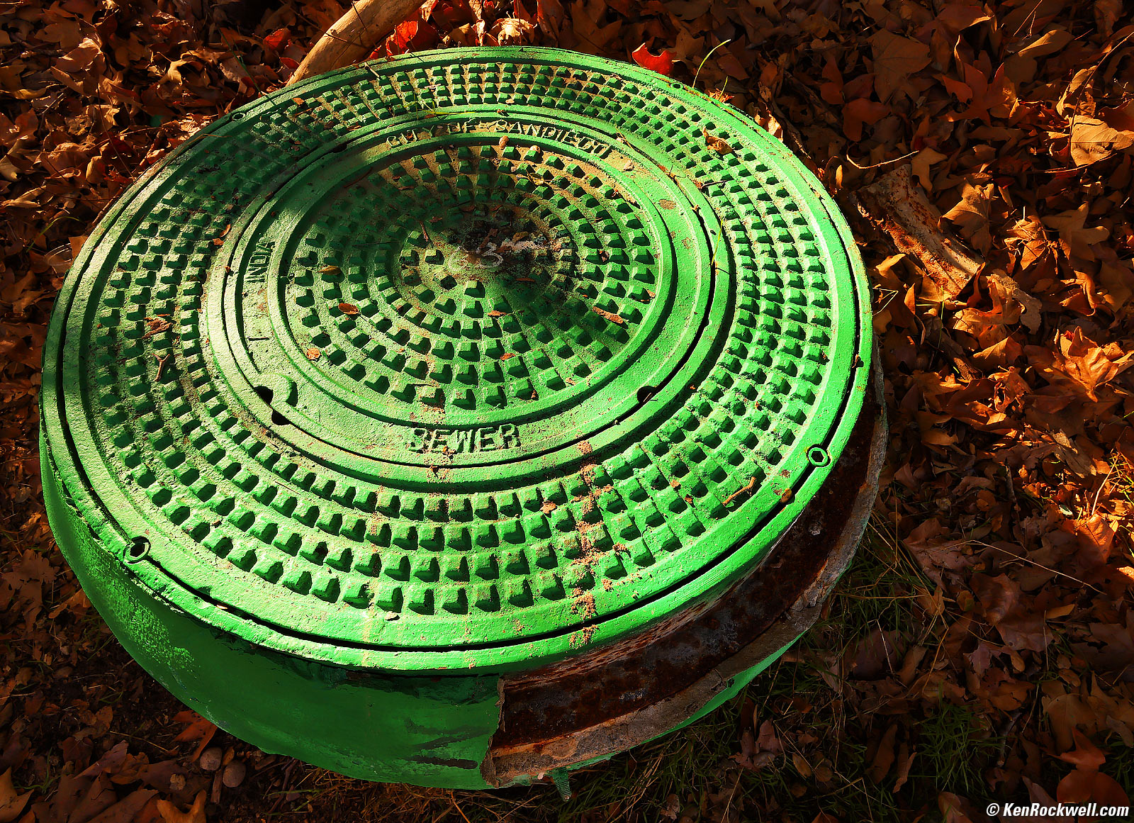 Canon RF 16mm f/2.8 STM Sample Image File