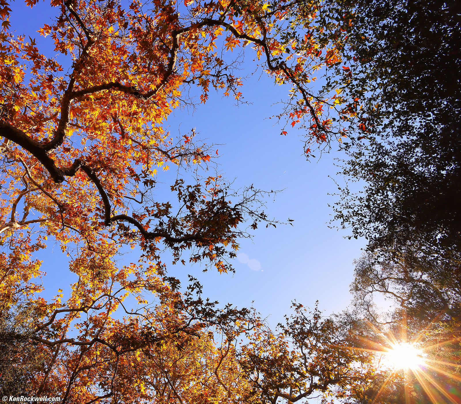 Canon RF 16mm f/2.8 STM Sample Image File