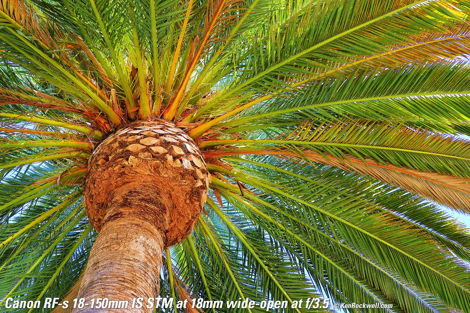 Canon EOS R7 Sample Image File