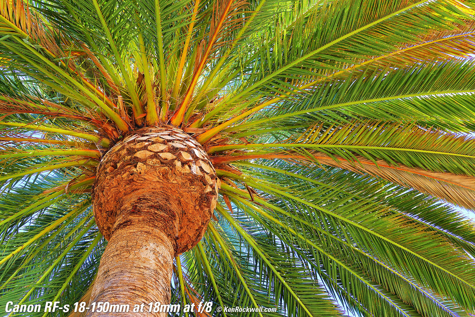 Canon EOS R7 Sample Image File