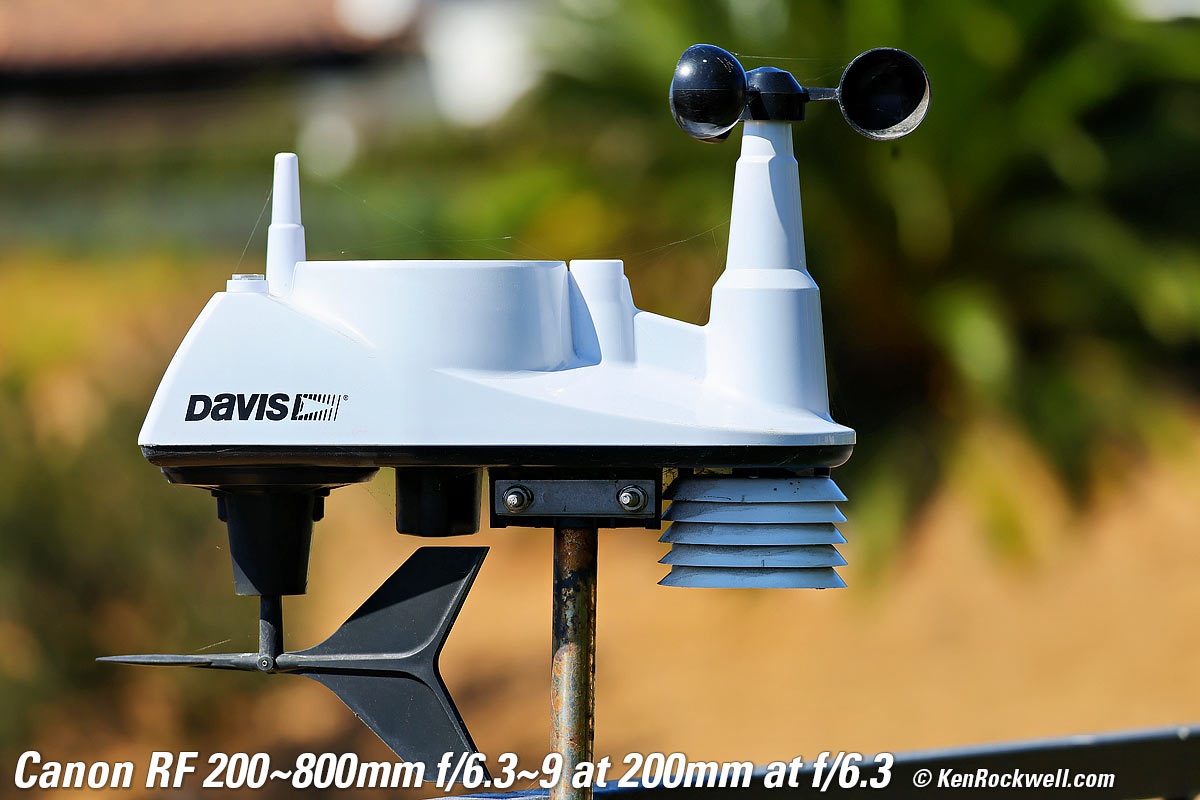 Canon RF 200-800mm IS USM Bokeh sample image