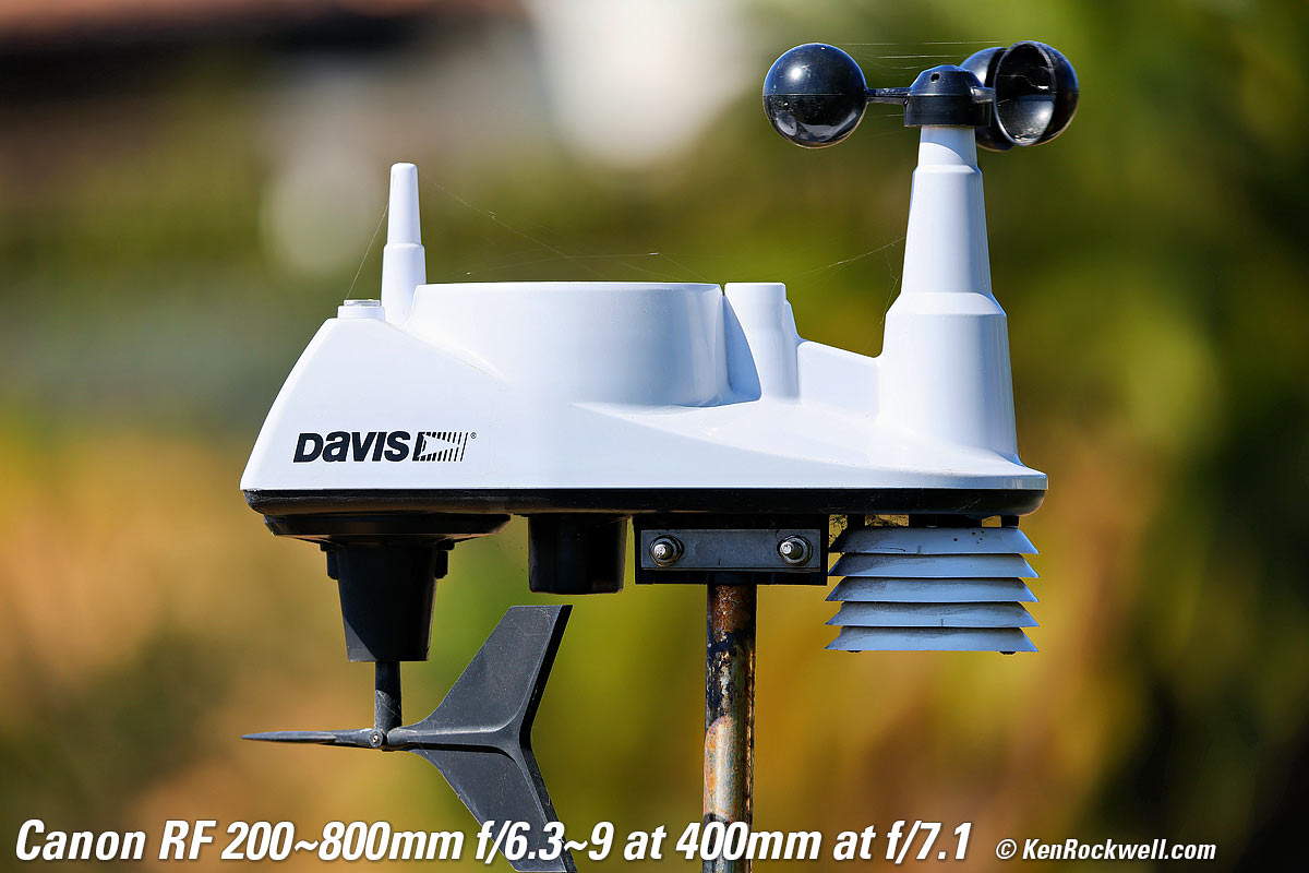 Canon RF 200-800mm IS USM Bokeh sample image