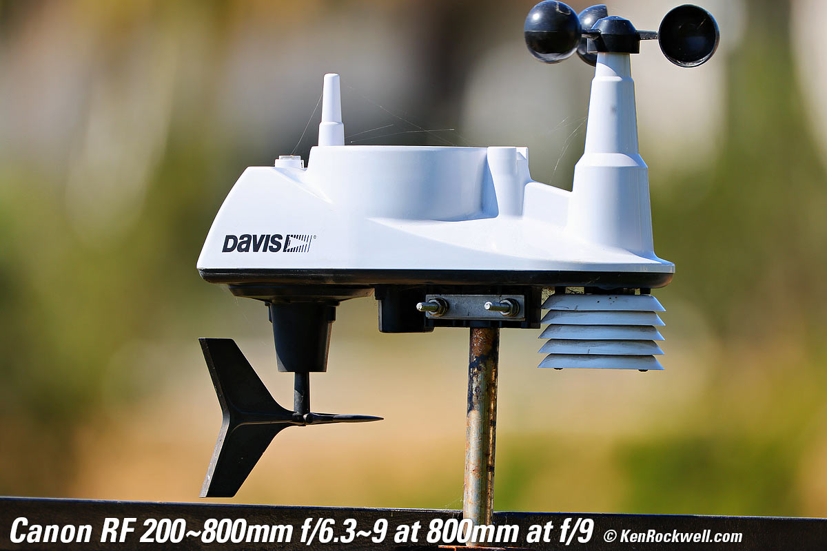 Canon RF 200-800mm IS USM Bokeh sample image