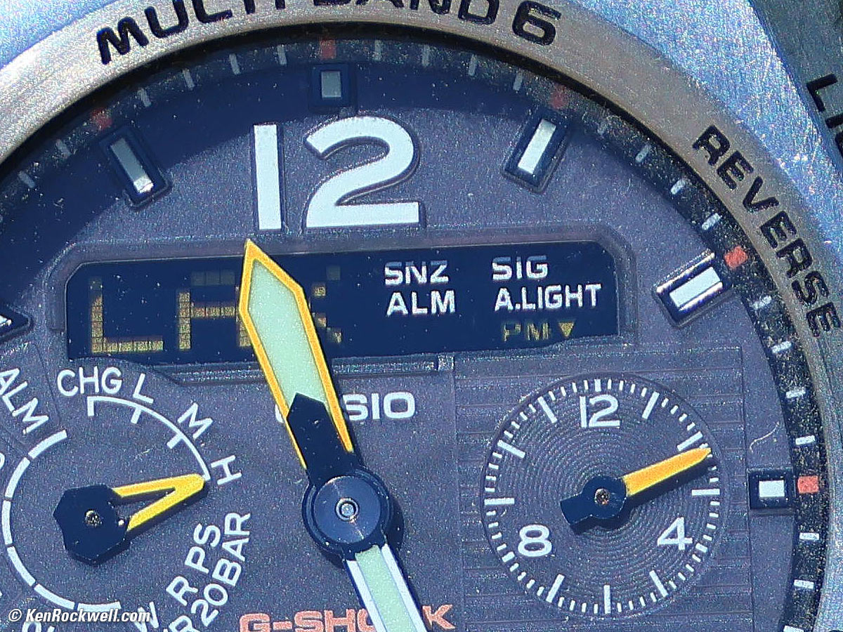 Canon RF 200-800mm IS USM Macro Performance sample image