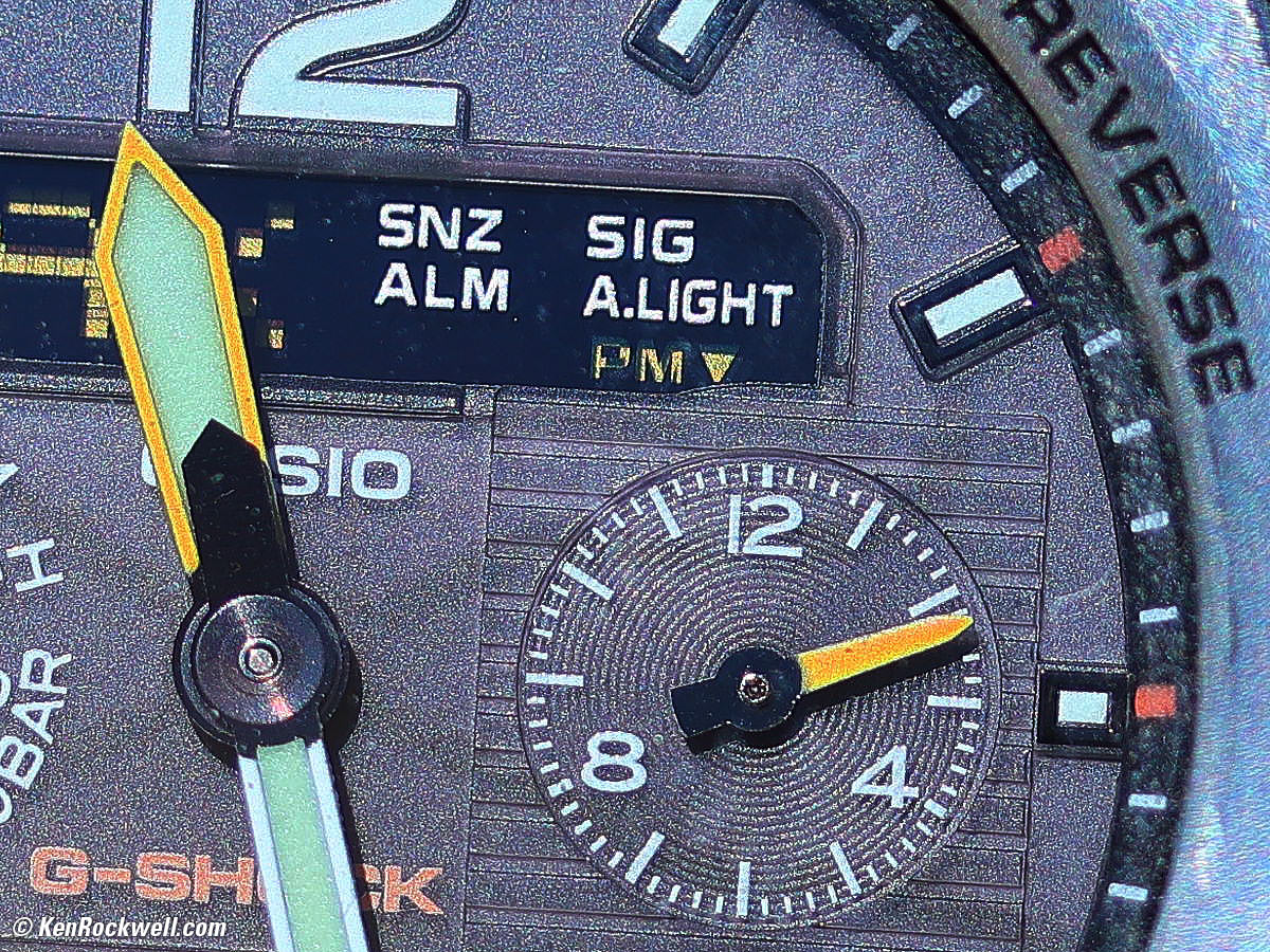 Canon RF 200-800mm IS USM Macro Performance sample image