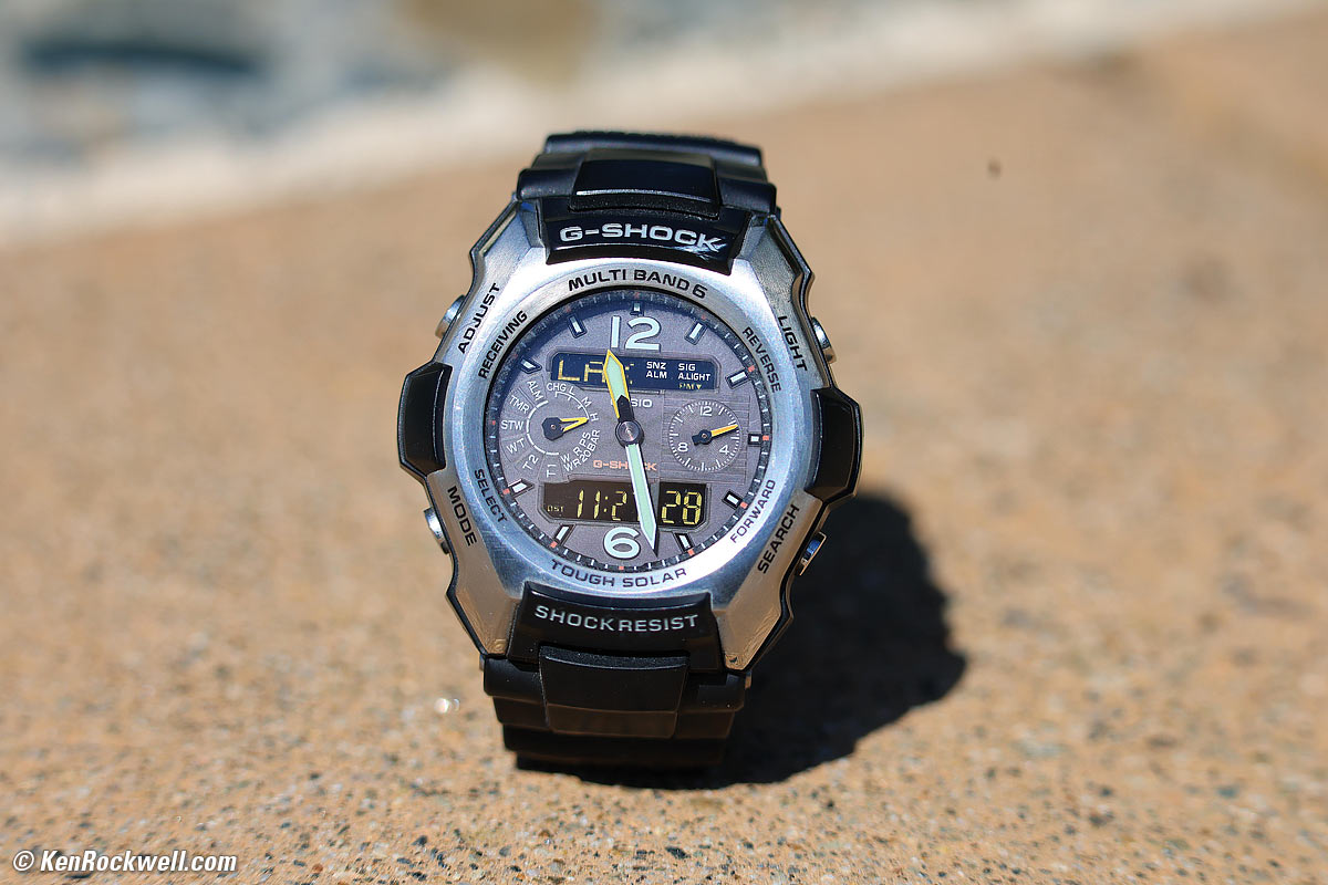 Canon RF 200-800mm IS USM Macro Performance sample image