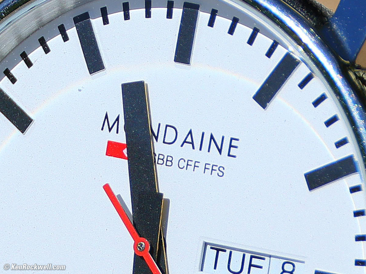 Canon RF 200-800mm IS USM Spherochromatism performance sample image