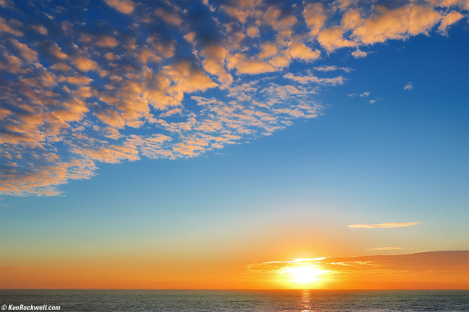 Canon EOS R1 and RF 20mm f/1.4L VCM Sample Image File