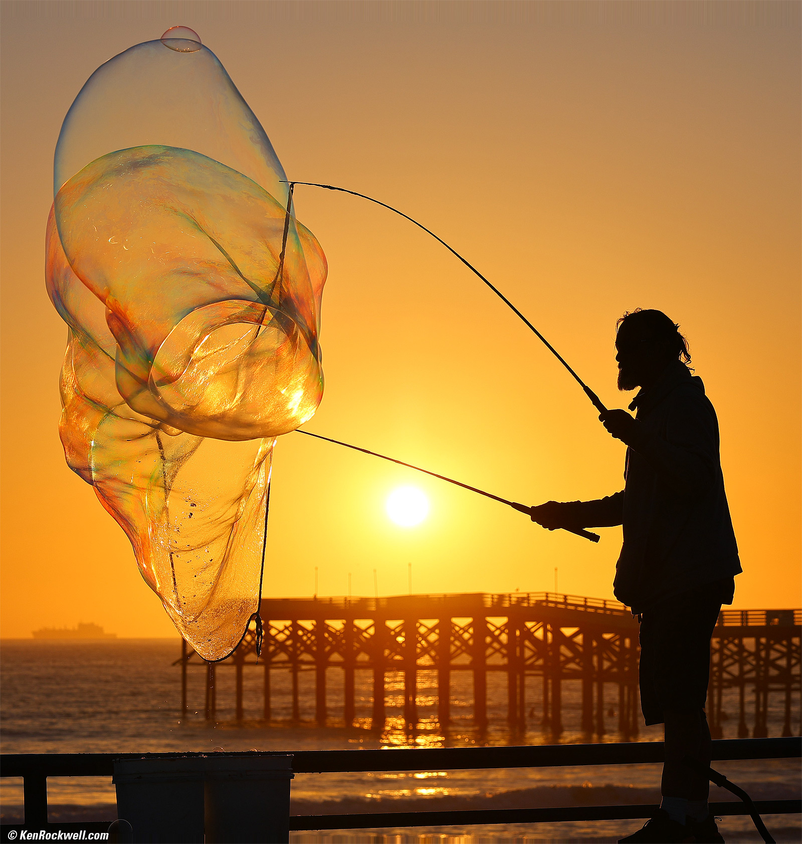 Canon RF 24-105mm f/2.8 L IS USM R6 II Sample Image File