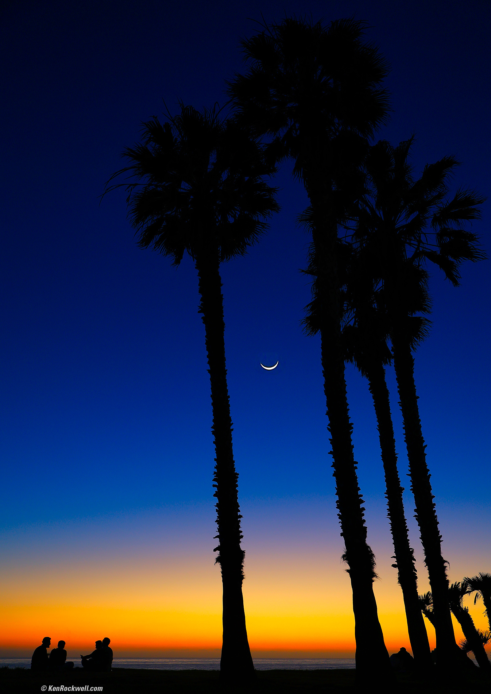 Canon RF 24-105mm f/2.8 L IS USM R6 II Sample Image File