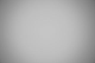 Canon RF 24-105mm f/2.8 falloff