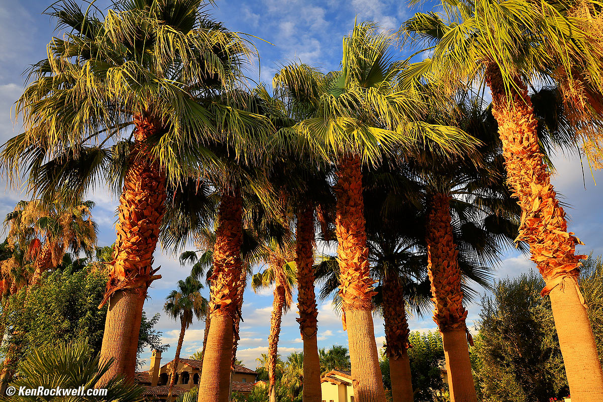 Canon RF 24-105mm STM Sample Image Files