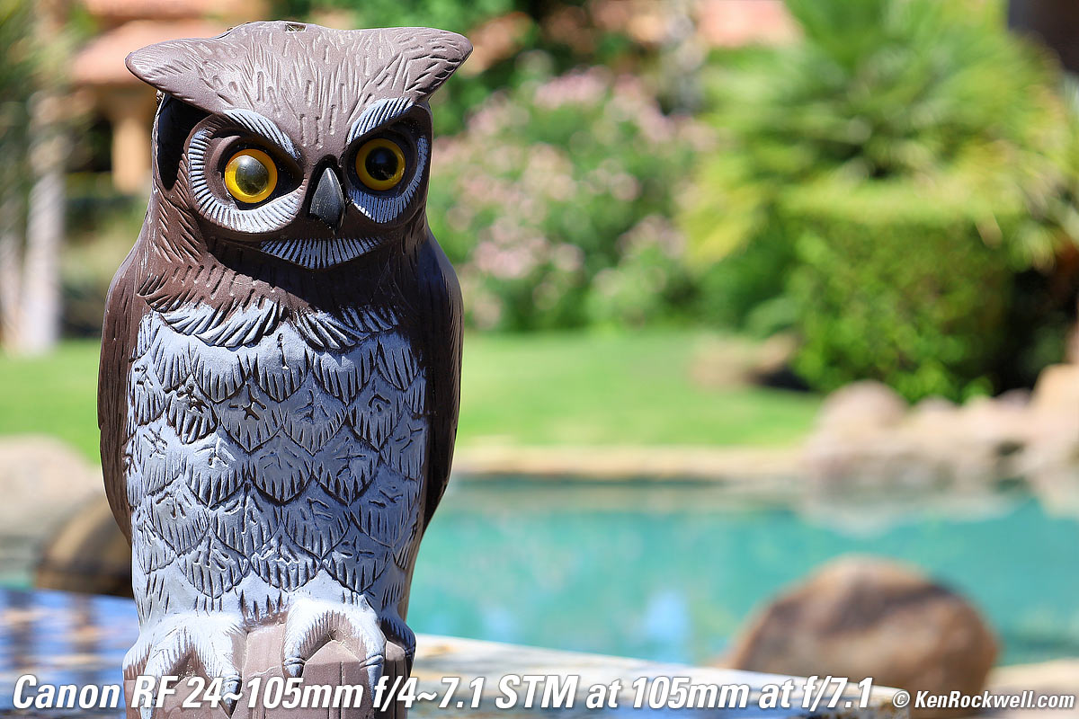 Canon RF 24-105mm STM Bokeh