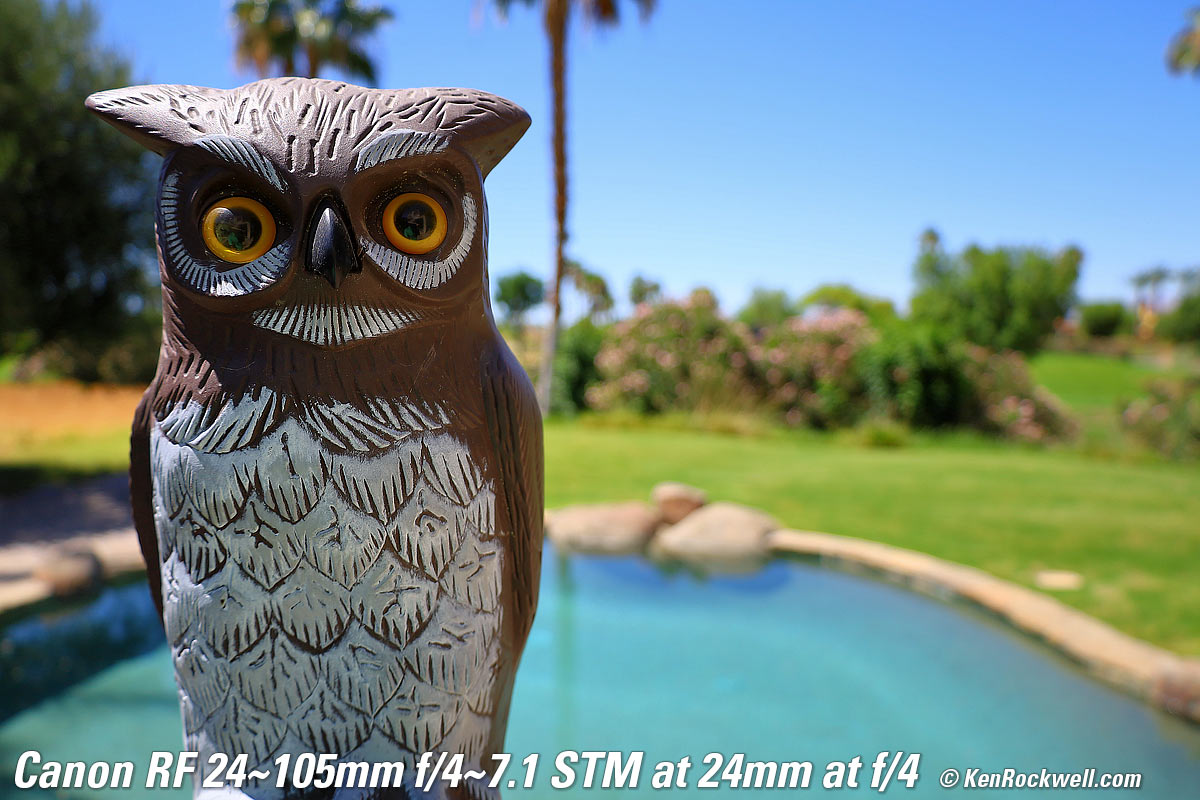 Canon RF 24-105mm STM Bokeh