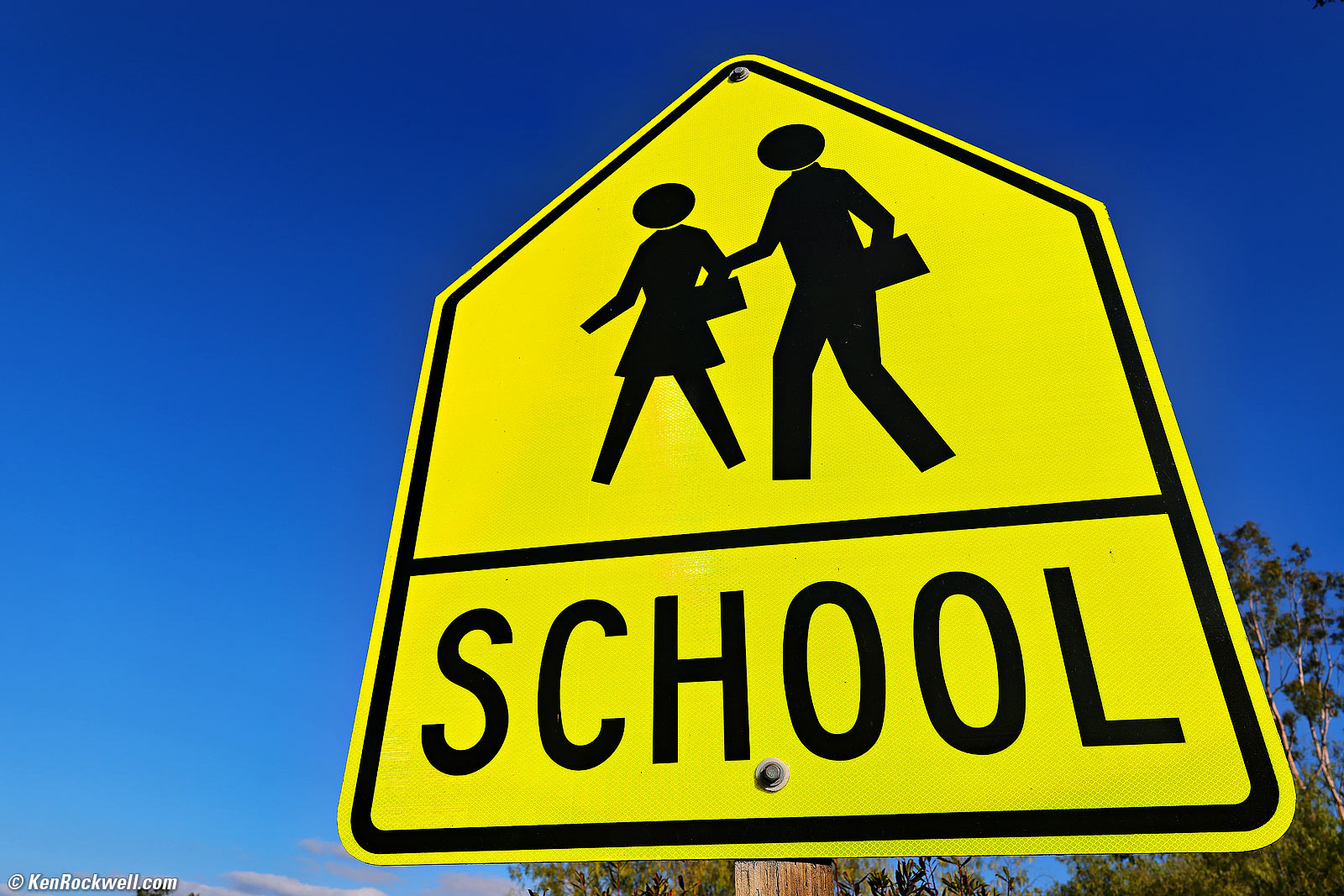 Canon RF 24mm f/1.4L VCM Sample Image File