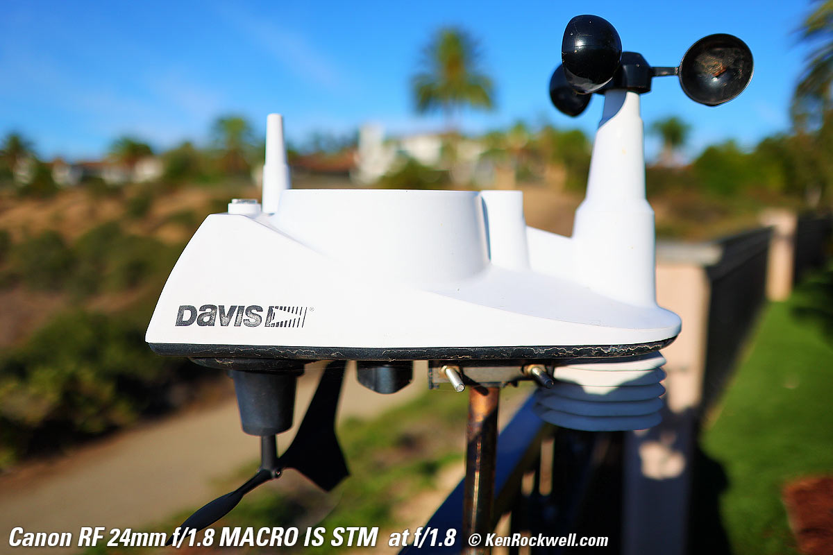 Canon RF 24mm f/1.8 Bokeh Sample Image