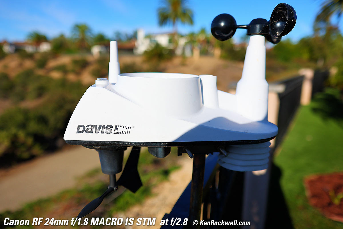 Canon RF 24mm f/1.8 Bokeh Sample Image