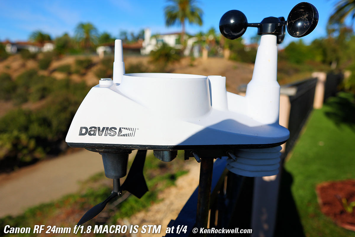 Canon RF 24mm f/1.8 Bokeh Sample Image