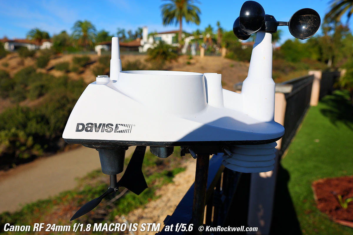 Canon RF 24mm f/1.8 Bokeh Sample Image