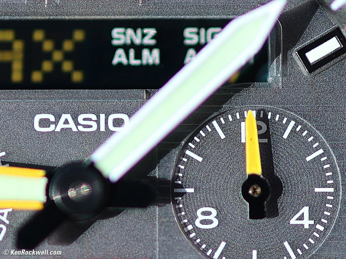 Canon RF 24mm f/1.8 Macro Performance