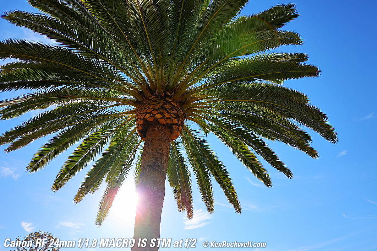 Canon EF 24mm f/1.8 Sunstars, Eastern Sierra Fall Color