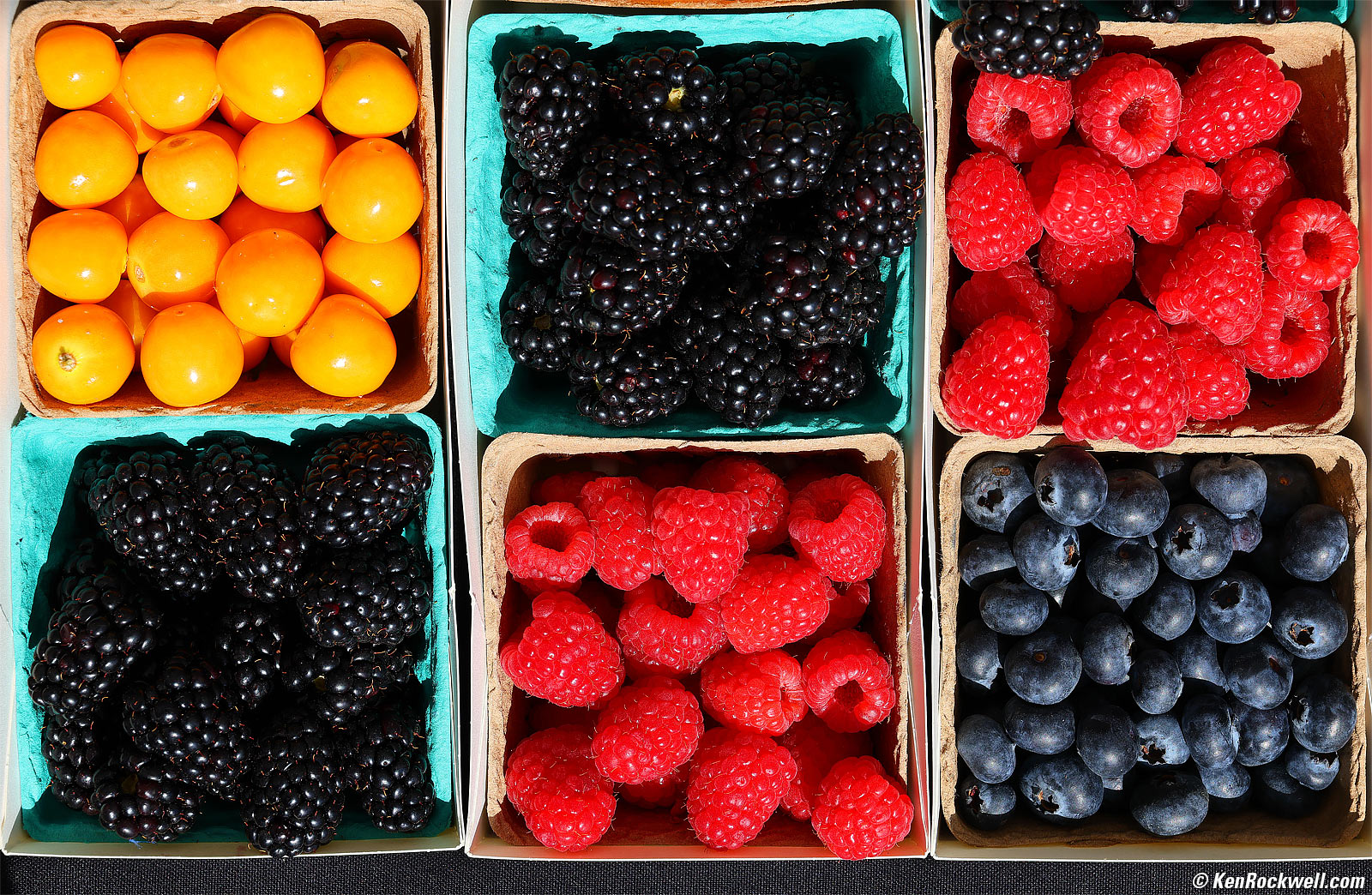 Canon RF 28-70mm f/2.8 IS STM Sample Image File