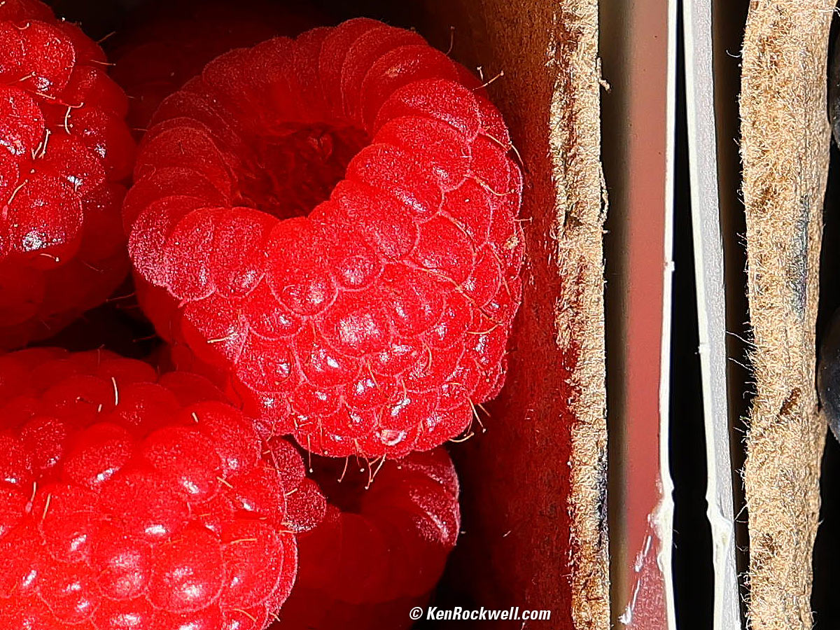 Canon RF 28-70mm f/2.8 IS STM Sample Image File