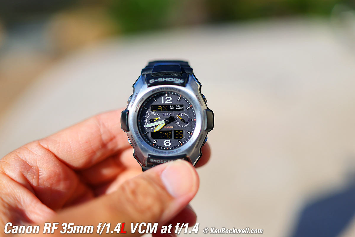 Canon RF 35mm f/1.4L VCM Macro Sample Image