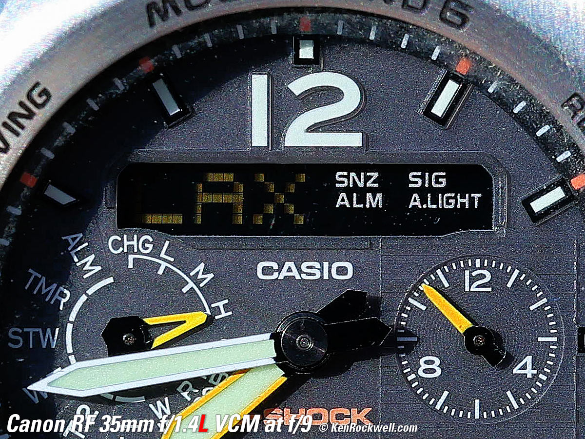 Canon RF 35mm f/1.4L VCM Macro Sample Image