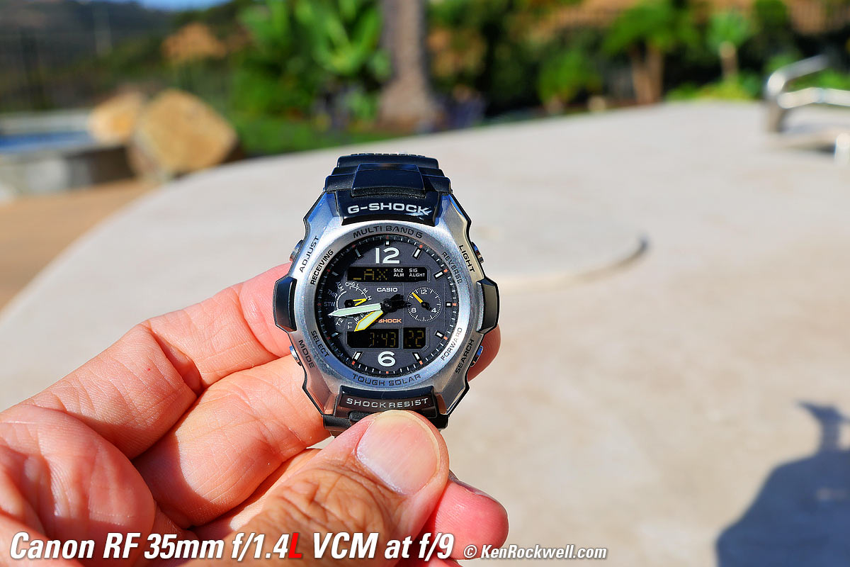 Canon RF 35mm f/1.4L VCM Macro Sample Image