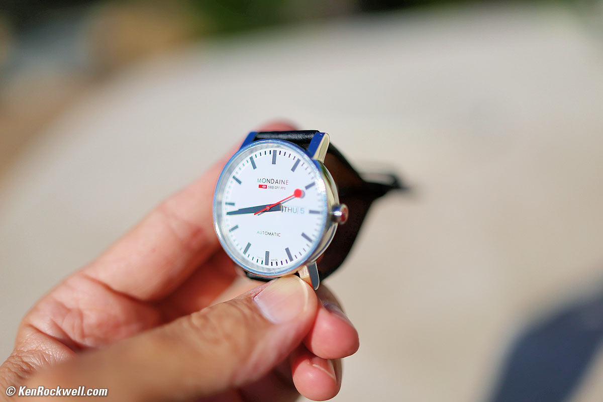 Canon RF 35mm f/1.4L VCM Macro Sample Image