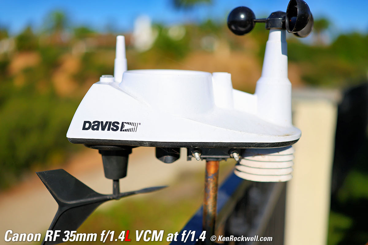 Canon RF 35mm f/1.4L VCM Macro Sample Image